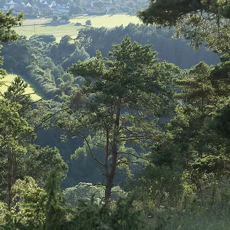 Zum Pinken Schaf Apartment *