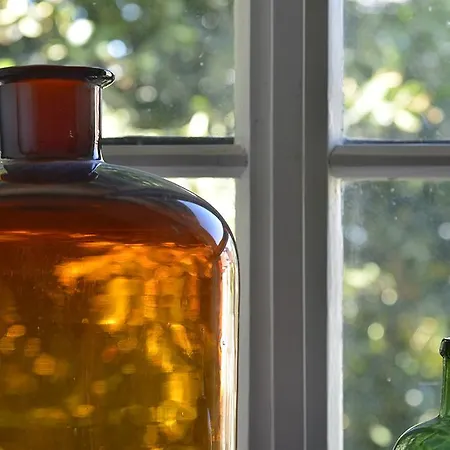 Zum Pinken Schaf Apartment