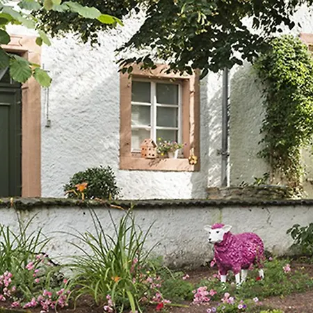 Apartment Zum Pinken Schaf Ahrdorf