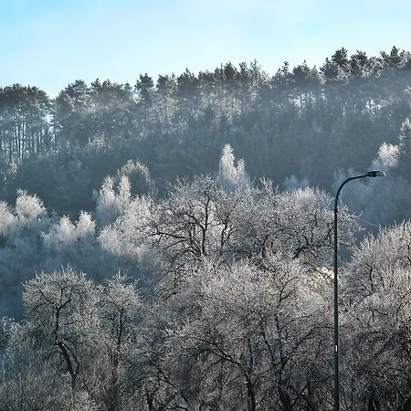 Zum Pinken Schaf Ahrdorf