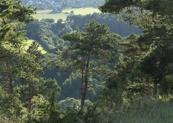 Zum Pinken Schaf شقة *