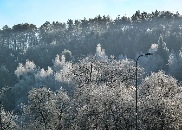 Zum Pinken Schaf Ahrdorf