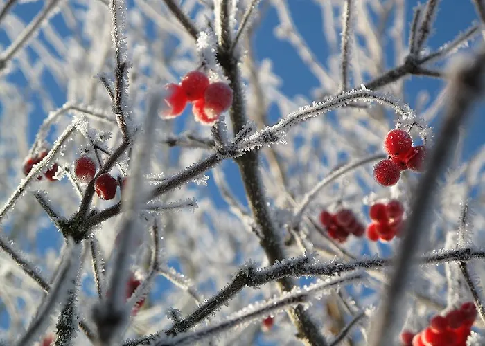 Zum Pinken Schaf * Ahrdorf