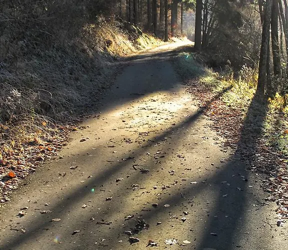 Zum Pinken Schaf * Ahrdorf